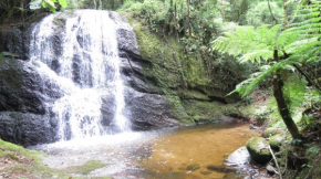 Отель Fazenda Monte Verde A Morada do Muriqui  Сан-Жозе-Дус-Кампус